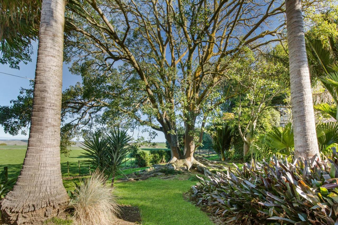 Headlands Estate Lägenhet Whanganui Exteriör bild